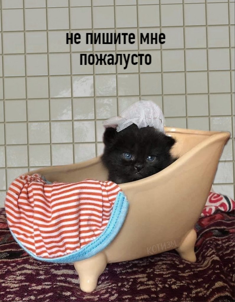  - 22  2020  18:58