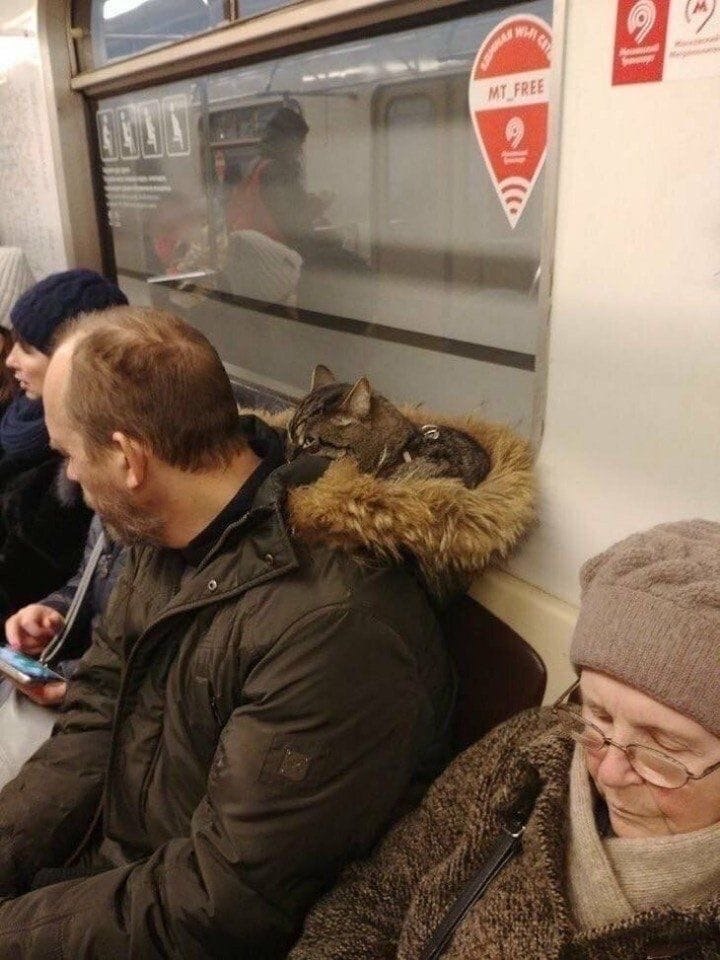    ,      - 2