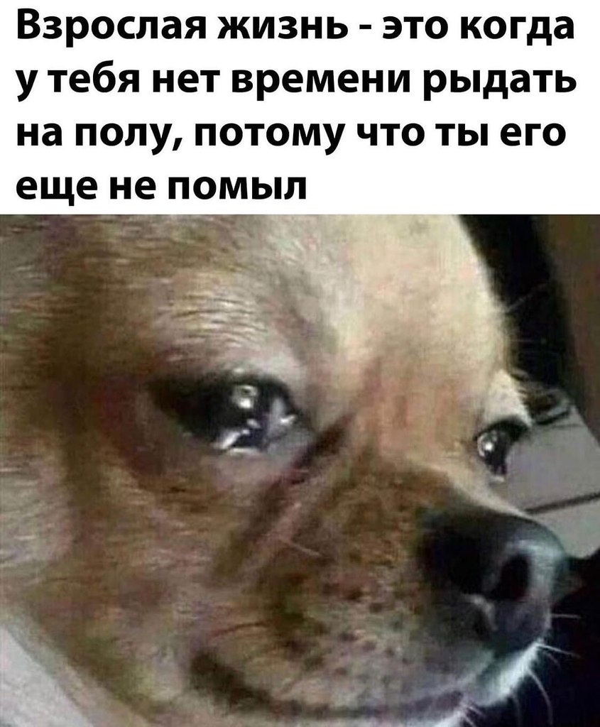  | ,  - 16  2020  18:36