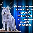  , -, 55  -  14  2020    