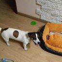 ���� Evgenii, �������, 37 ��� - ��������� 29 ������� 2020 � ������ ���� ����������