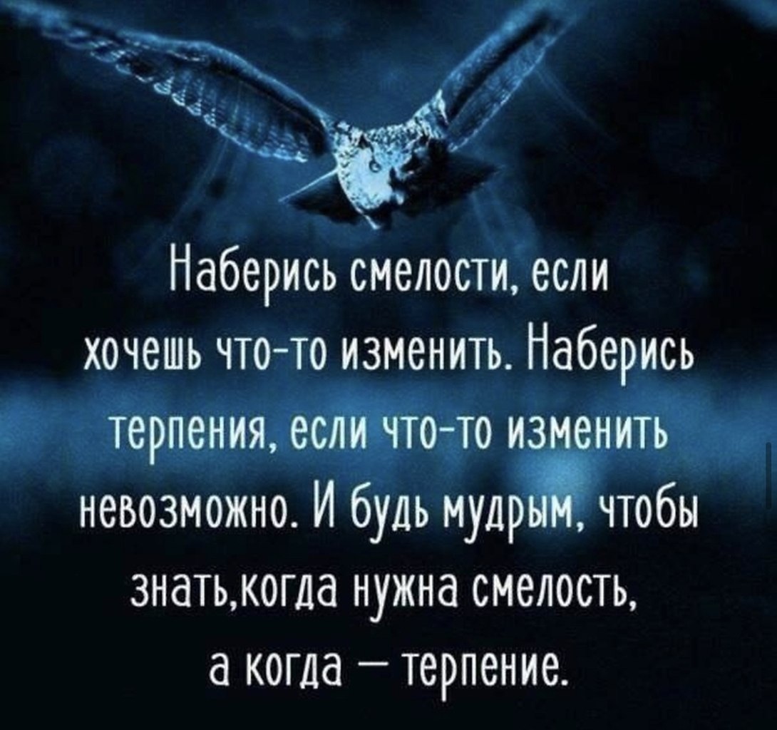   ,     .