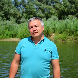 �������, ���������, 46 ���