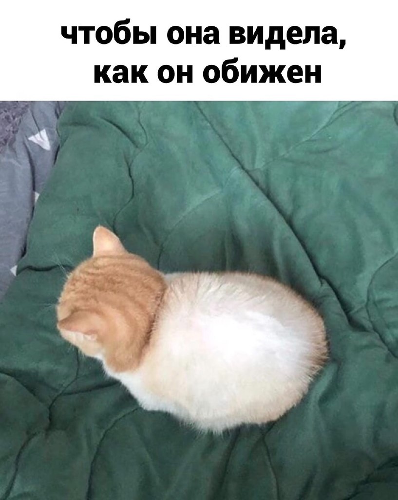 ,  .. - 4