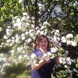 �������, ������, 67 ���