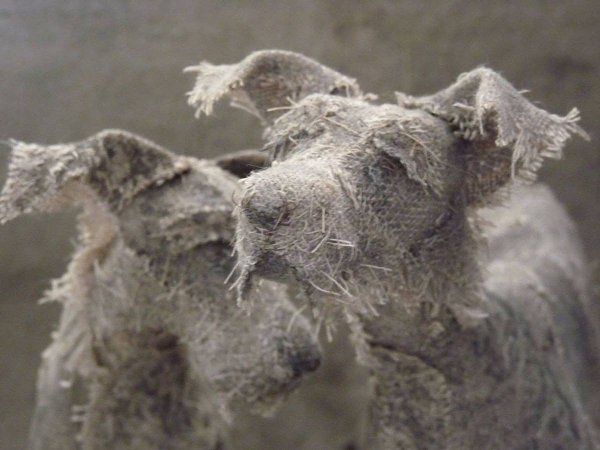 coa  eo o Hln hompson.kk - 8