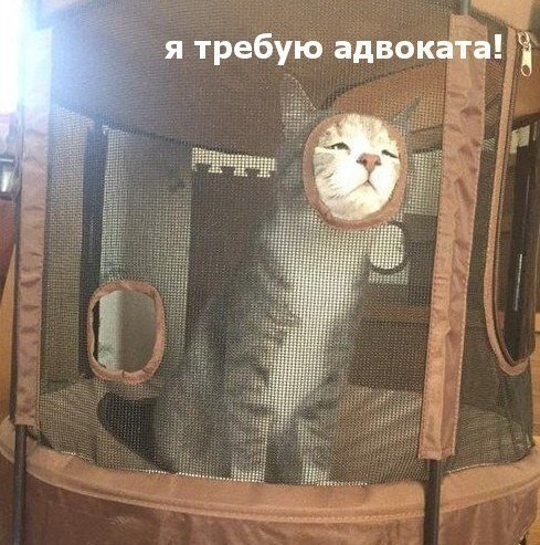 ��� �������� �������� - 6 ������� 2020 � 19:10
