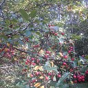 ���� ������, ������� - ��������� 26 �������� 2020 � ������ ���� ����������