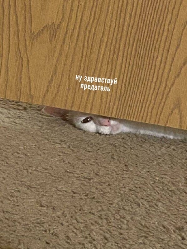 : *  ,     *. :