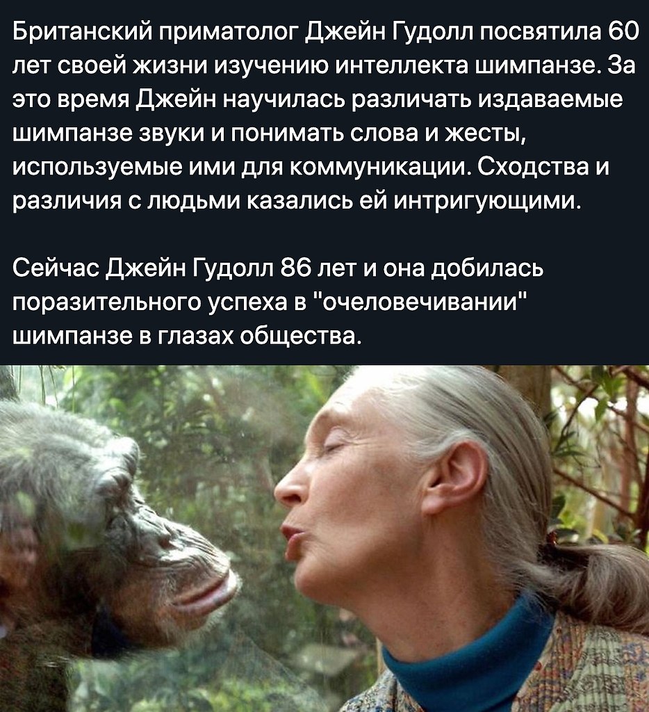    - 25  2020  18:57