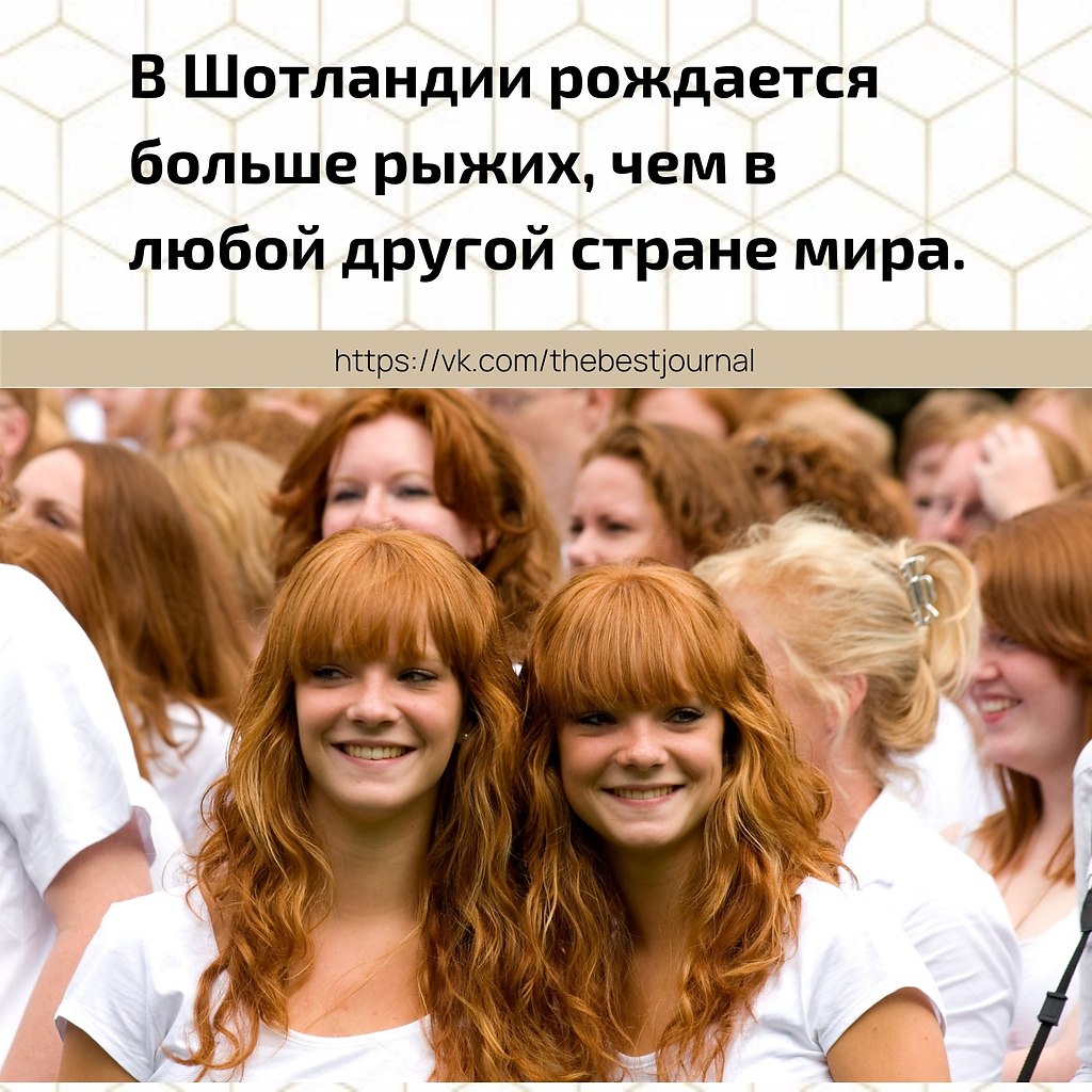 BEST | , ,  - 13  2021  12:42