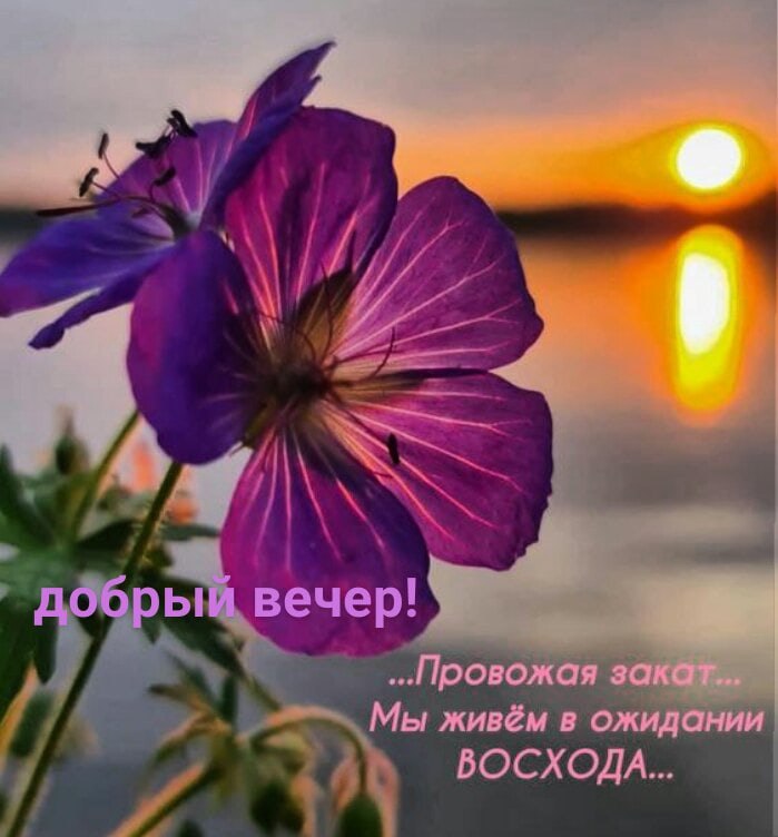   ,    . - 25  2020  20:24
