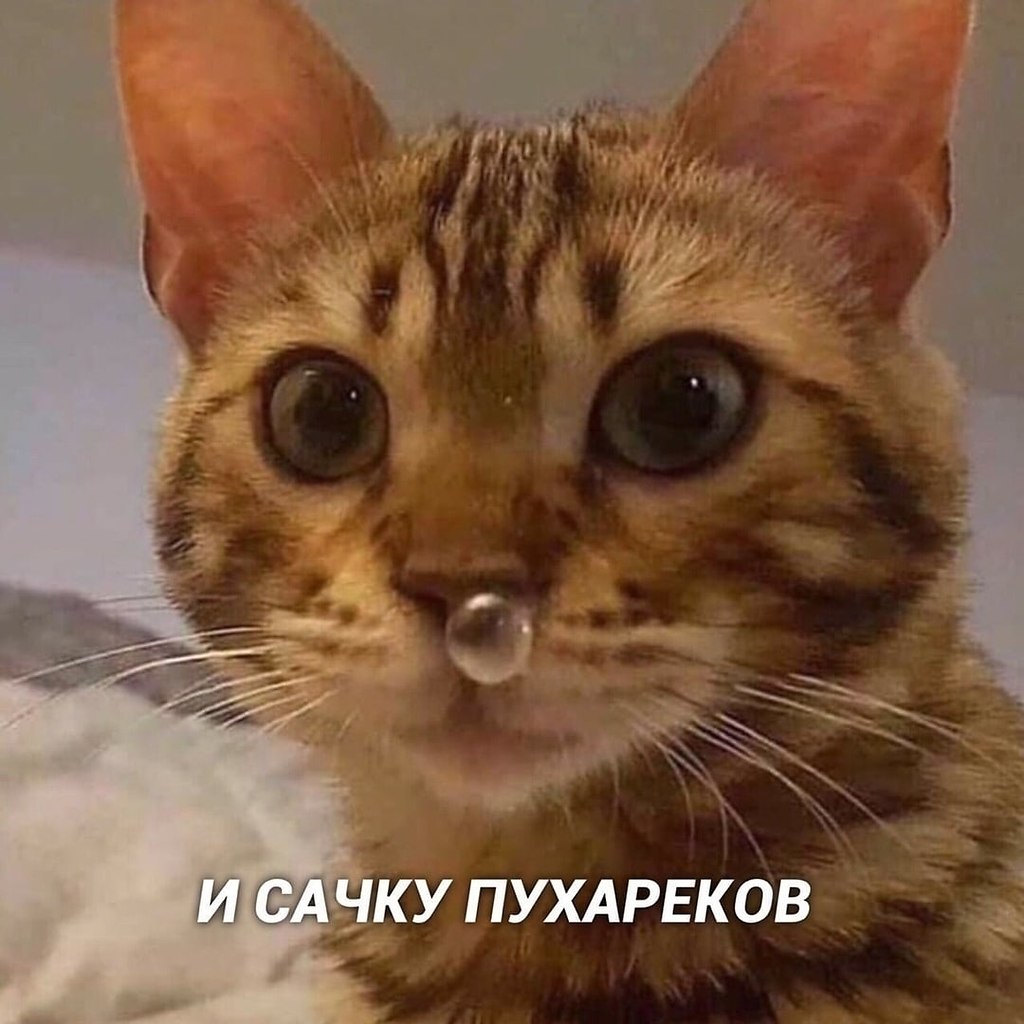   - 3