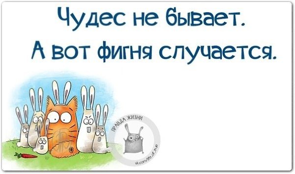 ������ ����� - 24 ����� 2021 � 14:42