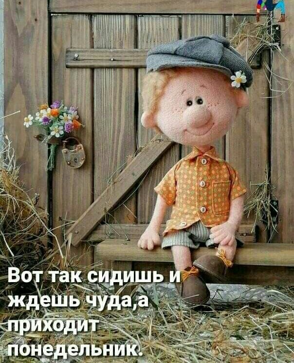   ,    . - 21  2021  23:31 - 6