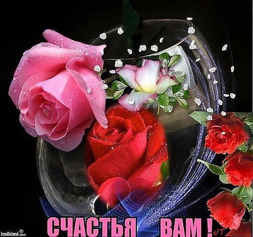  ,    . - 9  2021  13:24 - 5
