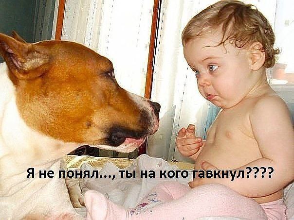  ! - 21  2020  13:34
