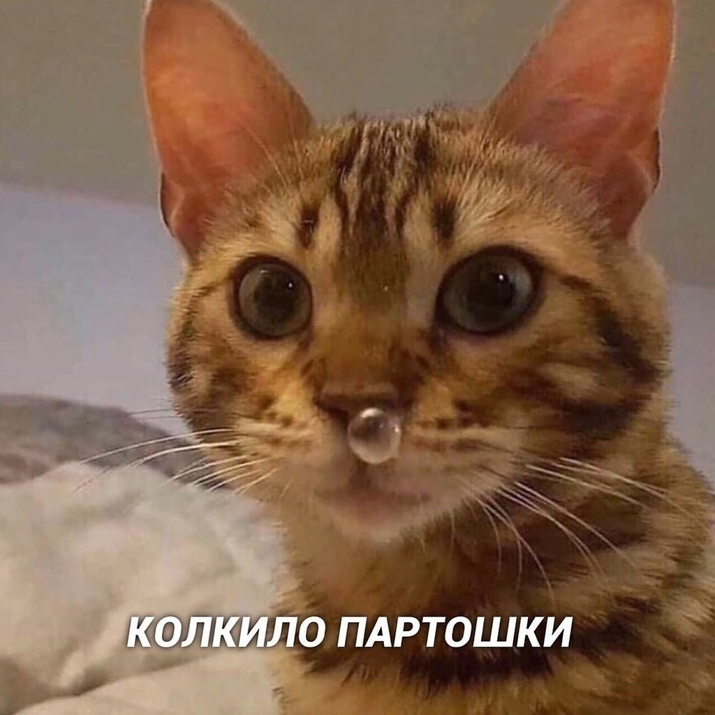   - 2
