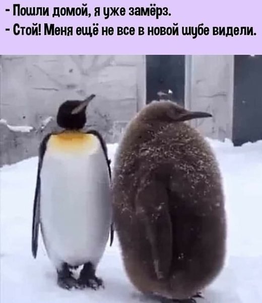  - 23  2021  05:01
