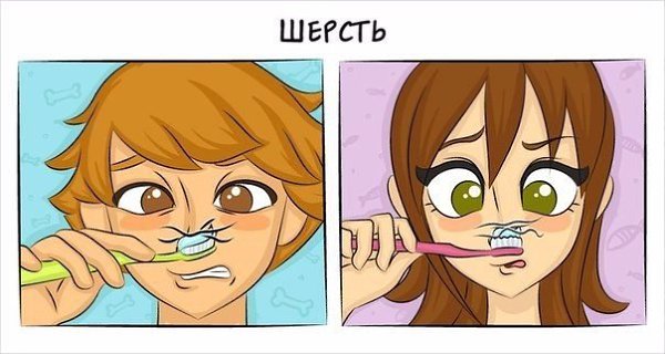 10 комиксов о том, как отличается жизнь с кошкой от жизни с собакой.