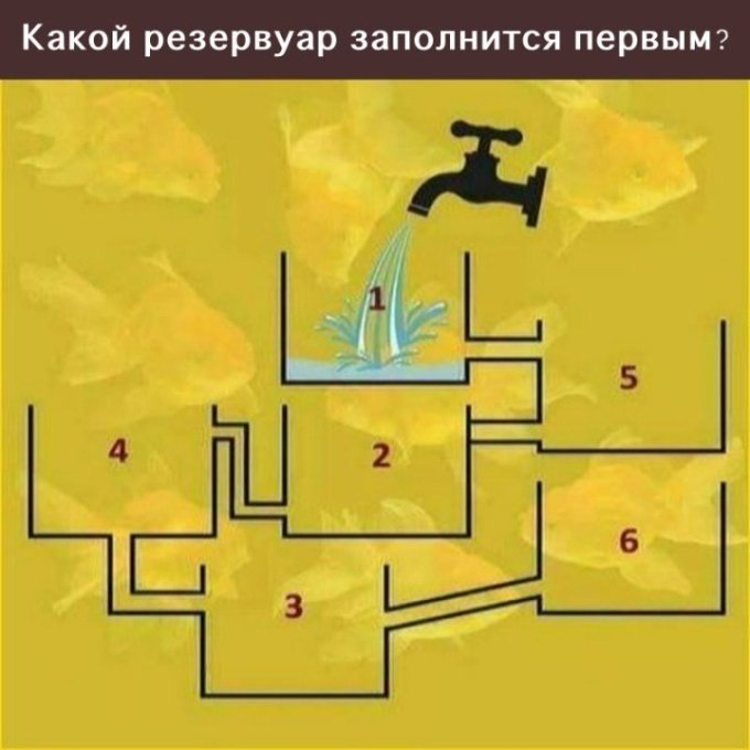      ,    )   