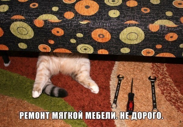    - 20  2021  11:51