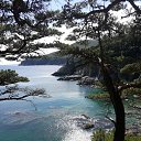  Vladimir, , 74  -  2  2020    