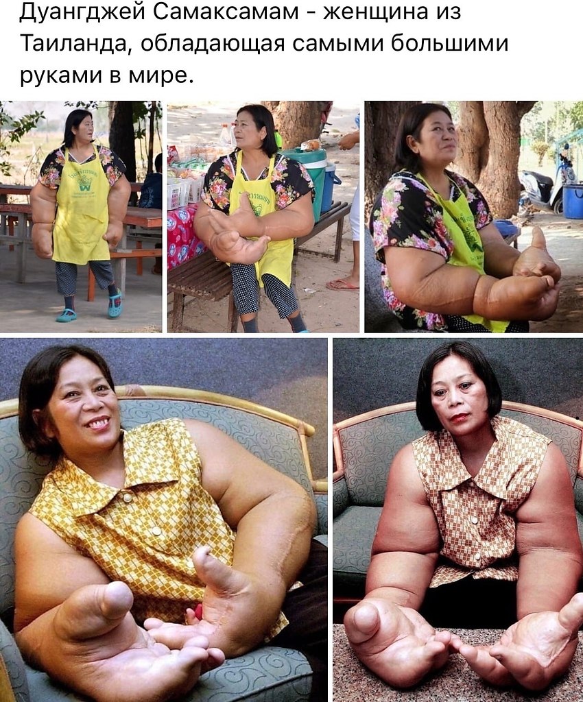 LIFE -  - 6  2020  19:08