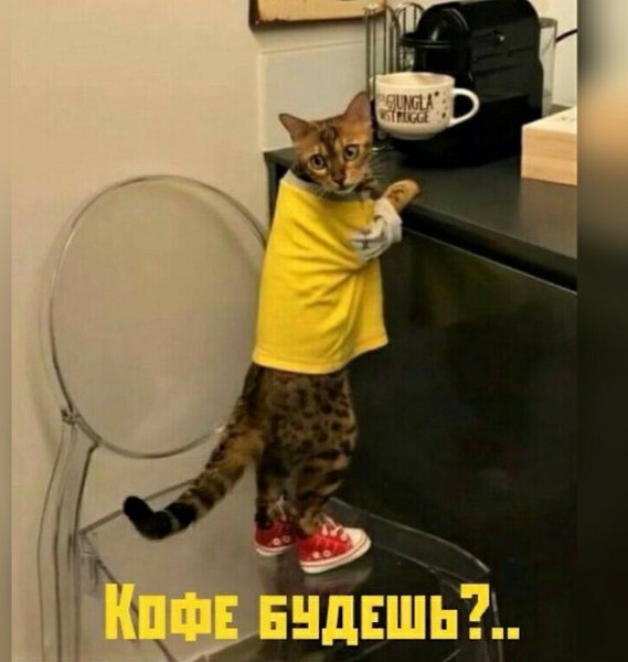  - 11  2020  06:31