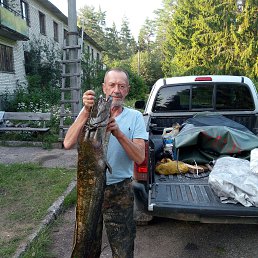 ���� ���������, ������, 68 ��� - ��������� 26 ������� 2020