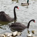 ���� ������, ��������, 45 ��� - ��������� 19 ������� 2020 � ������ ������������