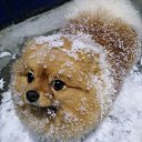 ���� �����, ��������, 55 ��� - ��������� 8 ������ 2021 � ������ ���� ����������