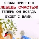 ���� �����, ������� - ��������� 14 ������� 2020 � ������ �������