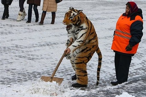 Мэрия Москвы заявила о привлечении дворников из регионов. Нехватку работников ЖКХ, возникшую из-за ...