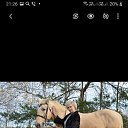 ���� �arika, ������, 55 ��� - ��������� 27 ������� 2020 � ������ ���� ����������