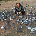 ���� ������, �����, 51 ��� - ��������� 26 ������� 2020 � ������ ���� ����������