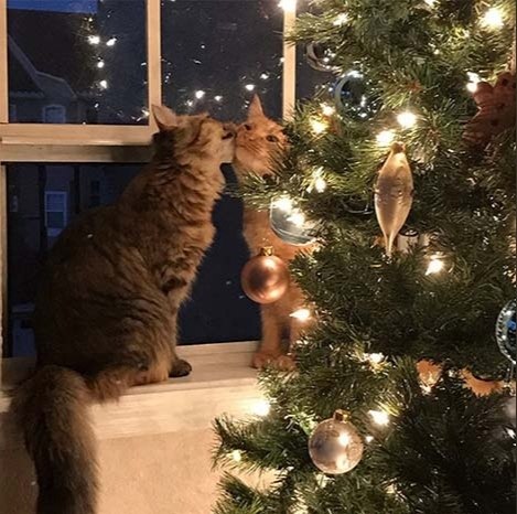 ��� ���� � ����� �� �� - 22 ������� 2020 � 14:10 - 3