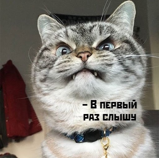       - 4  2021  10:48 - 2