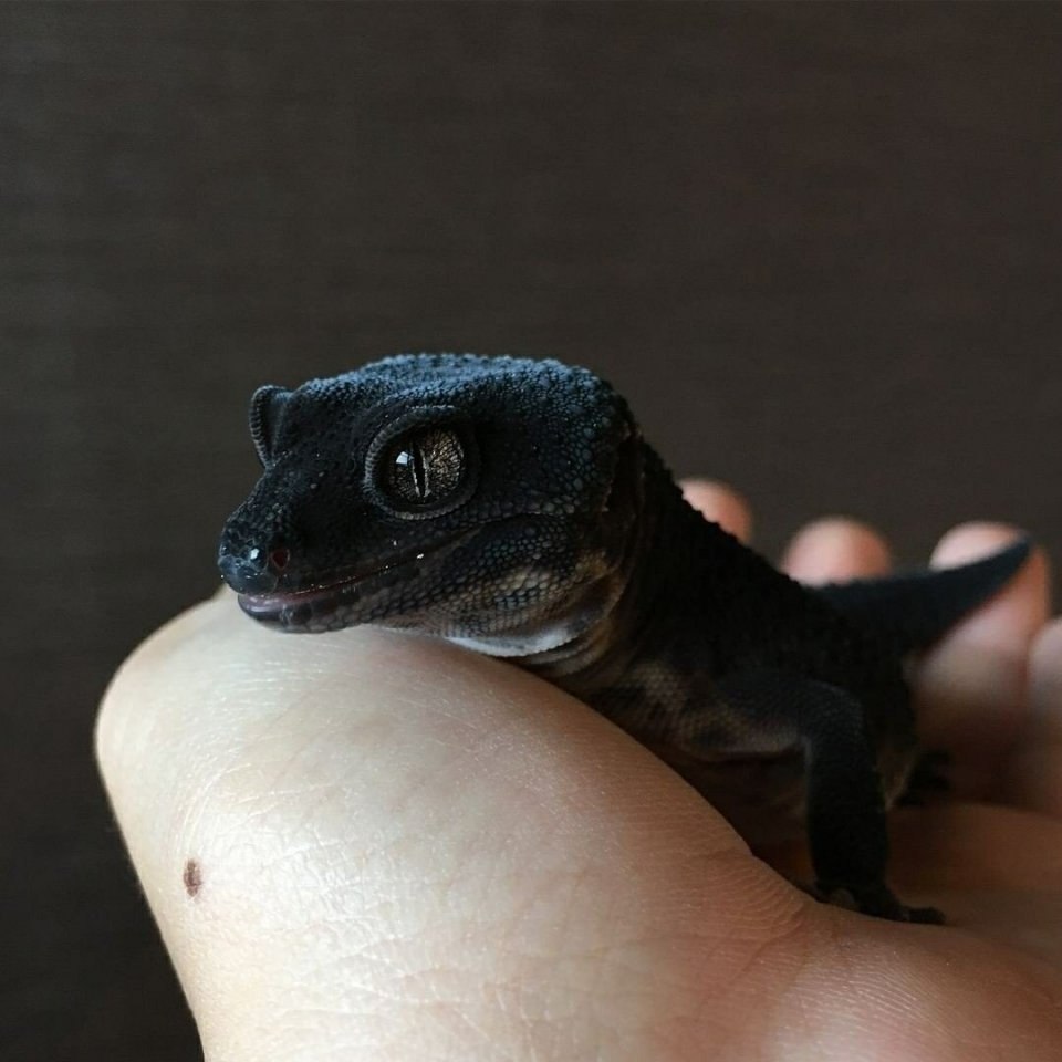 aaa aa  a.  2000. a   a a? - 3