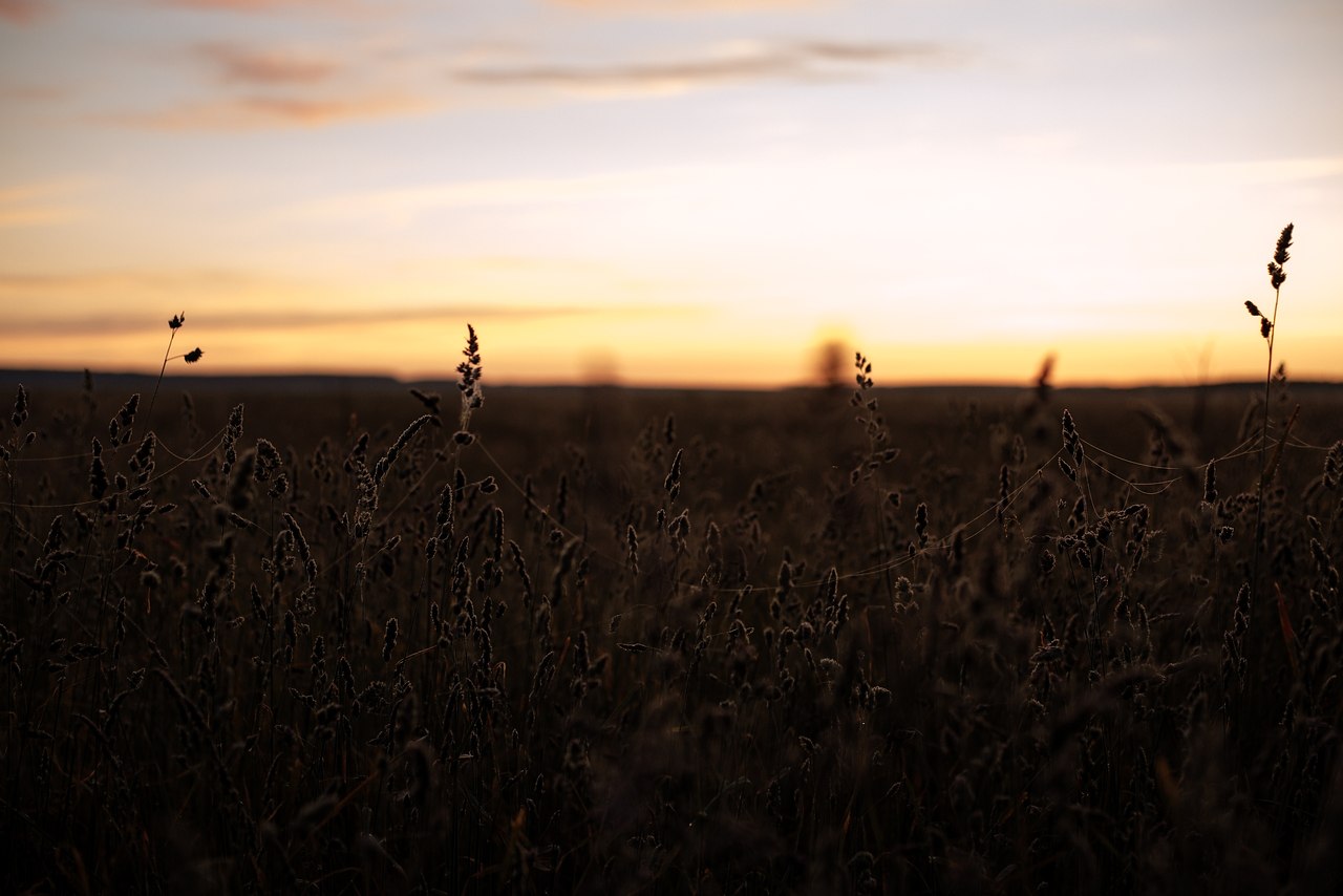 ph: [id96477176| ] - 7