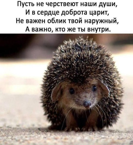 Boris_b - 20 ������ 2021 � 21:48