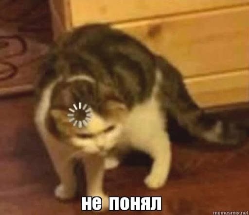 *  ,       * - 3
