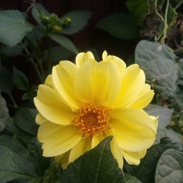 ���� Net, ����, 40 ��� - ��������� 10 ������ 2020