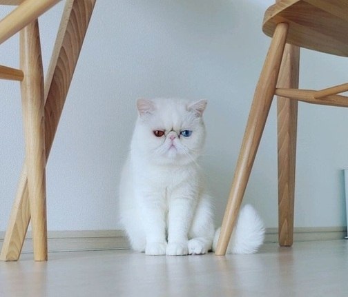  -.     , ,  . - 2