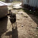 ���� ����, ������ ��������, 60 ��� - ��������� 30 ������� 2020 � ������ ���� ����������