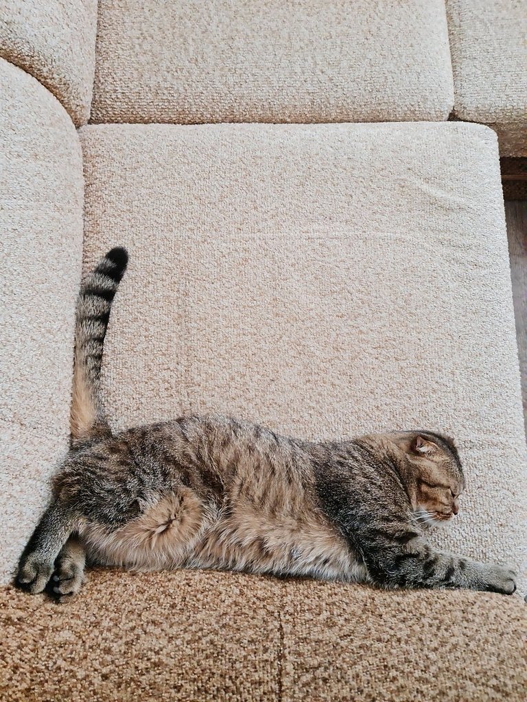   :     3D.    - 6