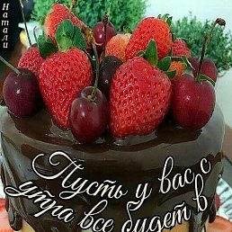 Nikol, �����������, 41 ���