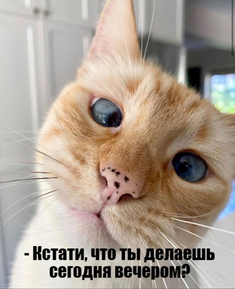       - 26  2020  18:36