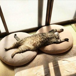 ���� Serge, �������� - ��������� 12 �������� 2020