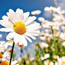  , -, 48  -  10  2020    